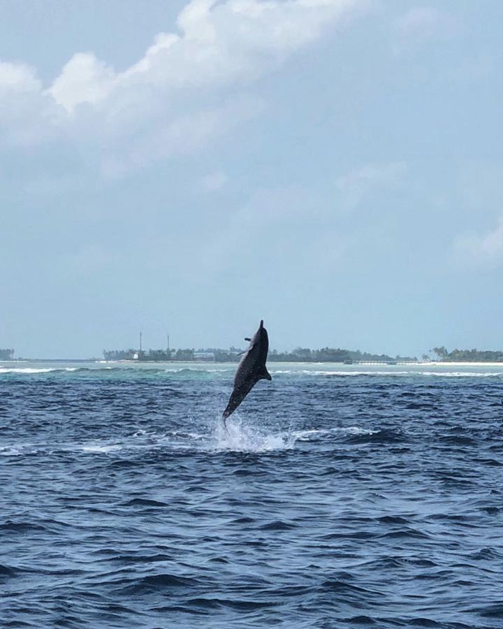 Seginy Seaview Hotel Guraidhoo  Buitenkant foto